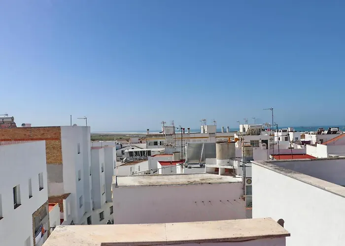 Malva Conil De La Frontera